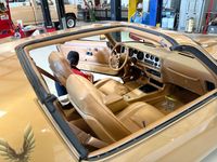 1978TransAm_3.jpeg