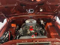 1972F100_3.jpeg