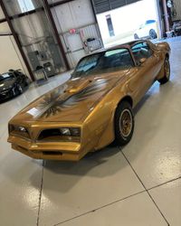 1978TransAm_1.jpg