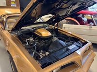 1978TransAm_4.jpg